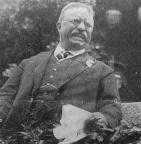Theodore Roosevelt in 1917