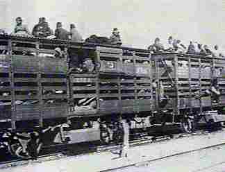 railroad car transporting Armenians, 1915